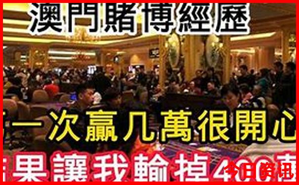 适合带娃去玩的地方